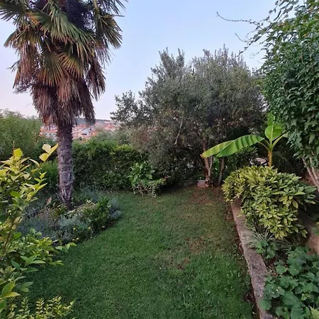 Apartman Meerblick-apartment Jasmine 2 In Strandnaehe By Interhome *